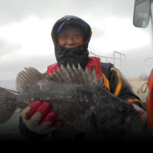 조황, 11월 19일 개우럭 조황