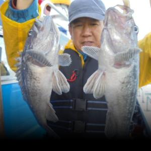 조황, 11/17 우럭출조에 광어가