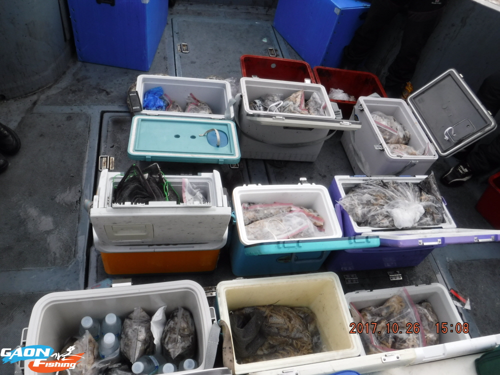 낚시뚜,쭈꾸미,홍원항,가온호,낚시뚜1