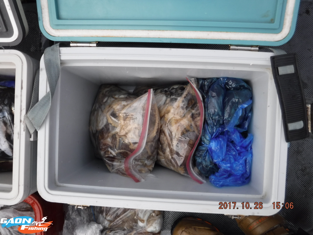 낚시뚜,쭈꾸미,홍원항,가온호,낚시뚜6