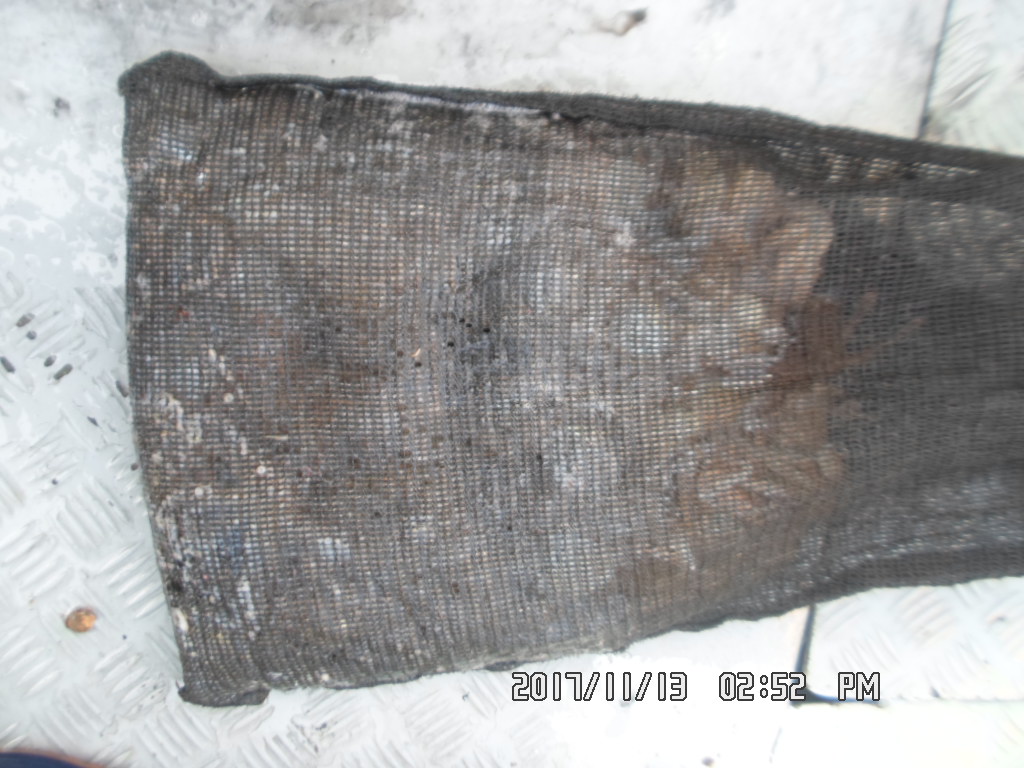 낚시뚜,쭈꾸미,오천항,거양호,낚시뚜1