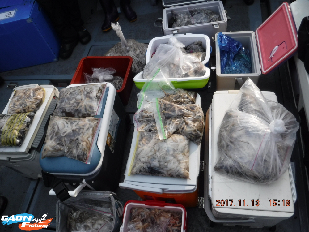 낚시뚜,쭈꾸미,홍원항,가온호,낚시뚜0