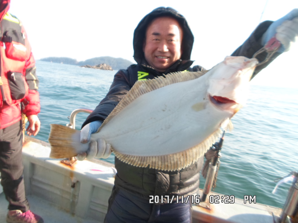 낚시뚜,광어,오천항,거양호,낚시뚜7