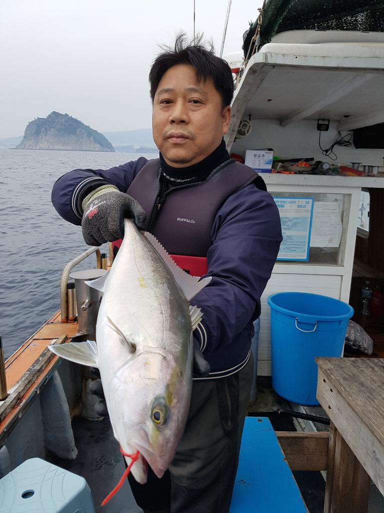 낚시뚜,방어,하효항,제주 청송호,낚시뚜1