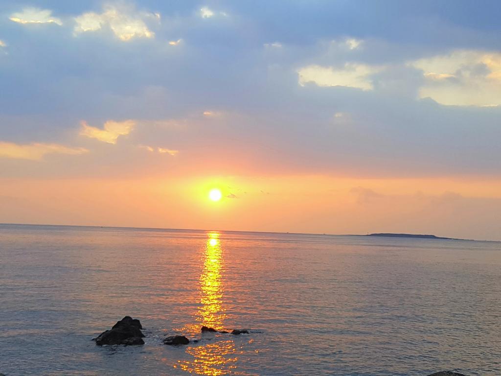 낚시뚜,부시리,하효항,제주 청송호,낚시뚜0