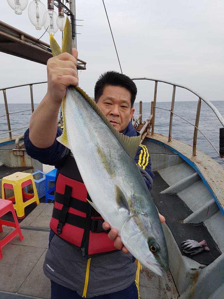 낚시뚜,부시리,하효항,제주 청송호,낚시뚜3