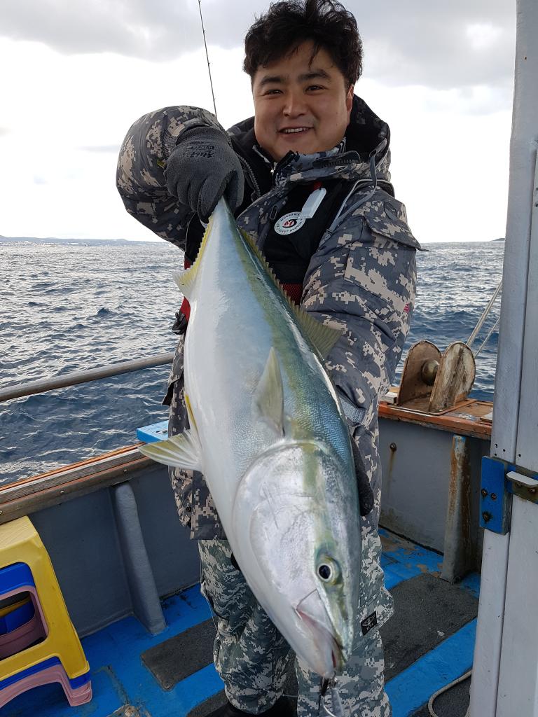 낚시뚜,부시리,하효항,제주 청송호,낚시뚜2