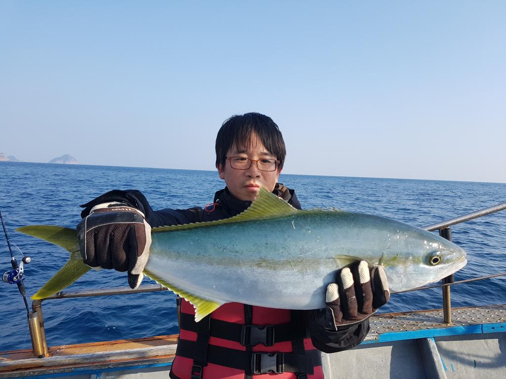 낚시뚜,방어,하효항,제주 청송호,낚시뚜8