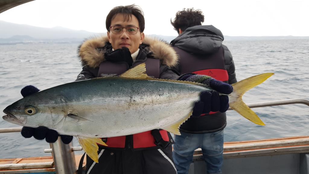 낚시뚜,방어,하효항,제주 청송호,낚시뚜0