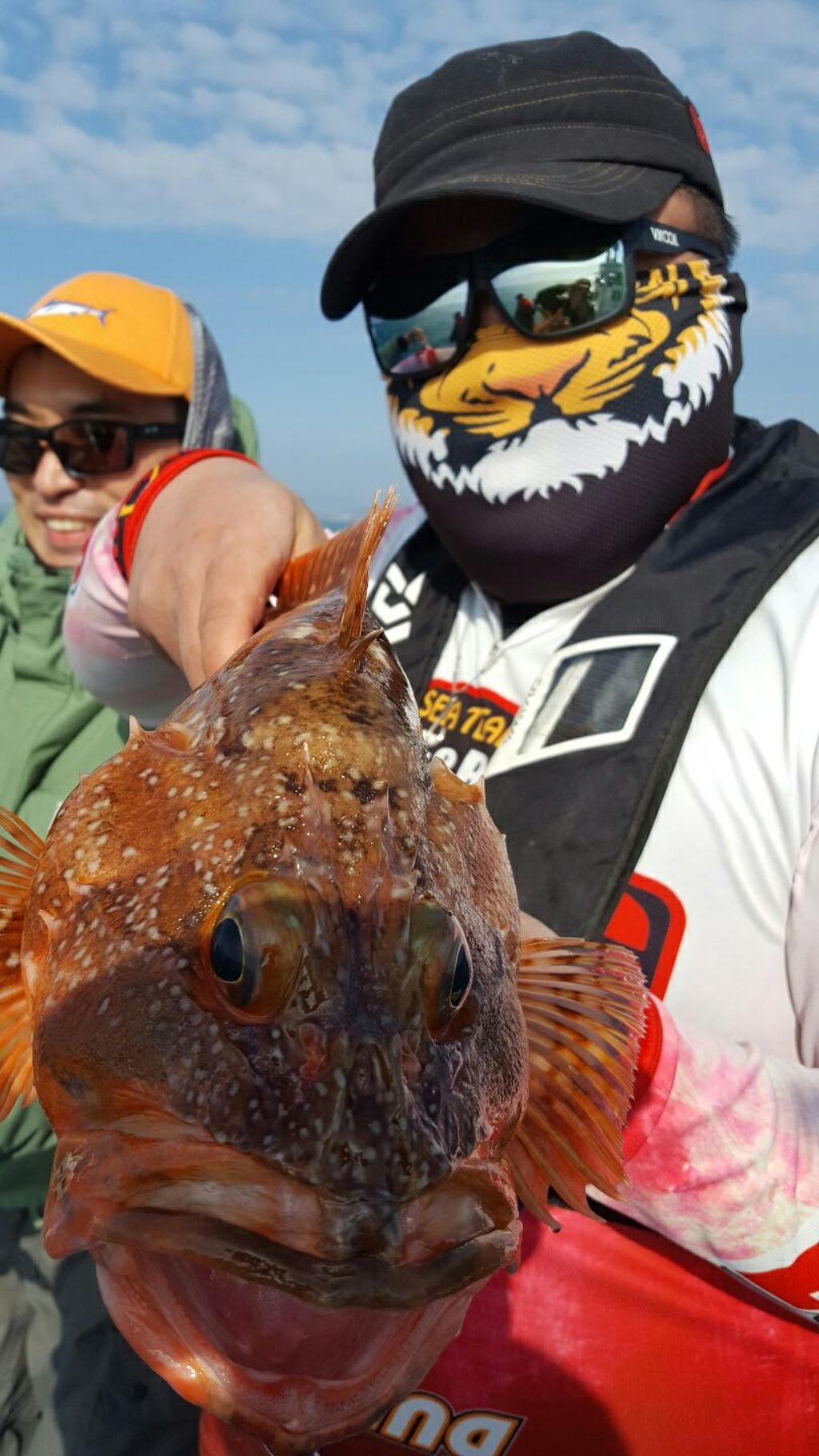 낚시뚜,참돔,쏨뱅이,모슬포항,모슬포 선진호,낚시뚜7