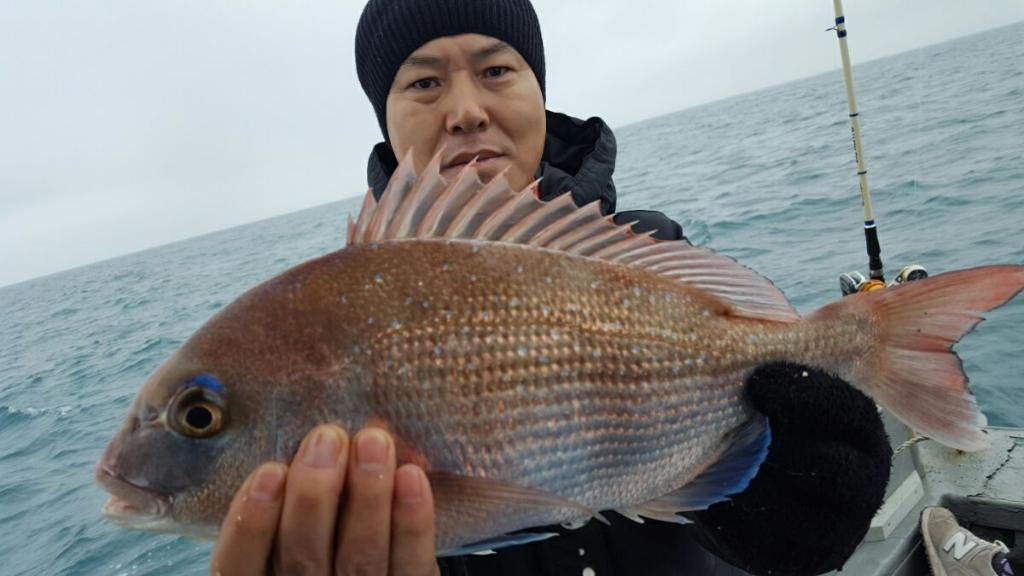 낚시뚜,참돔,모슬포항,모슬포 선진호,낚시뚜4