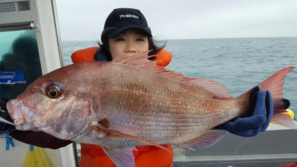 낚시뚜,참돔,모슬포항,모슬포 선진호,낚시뚜3