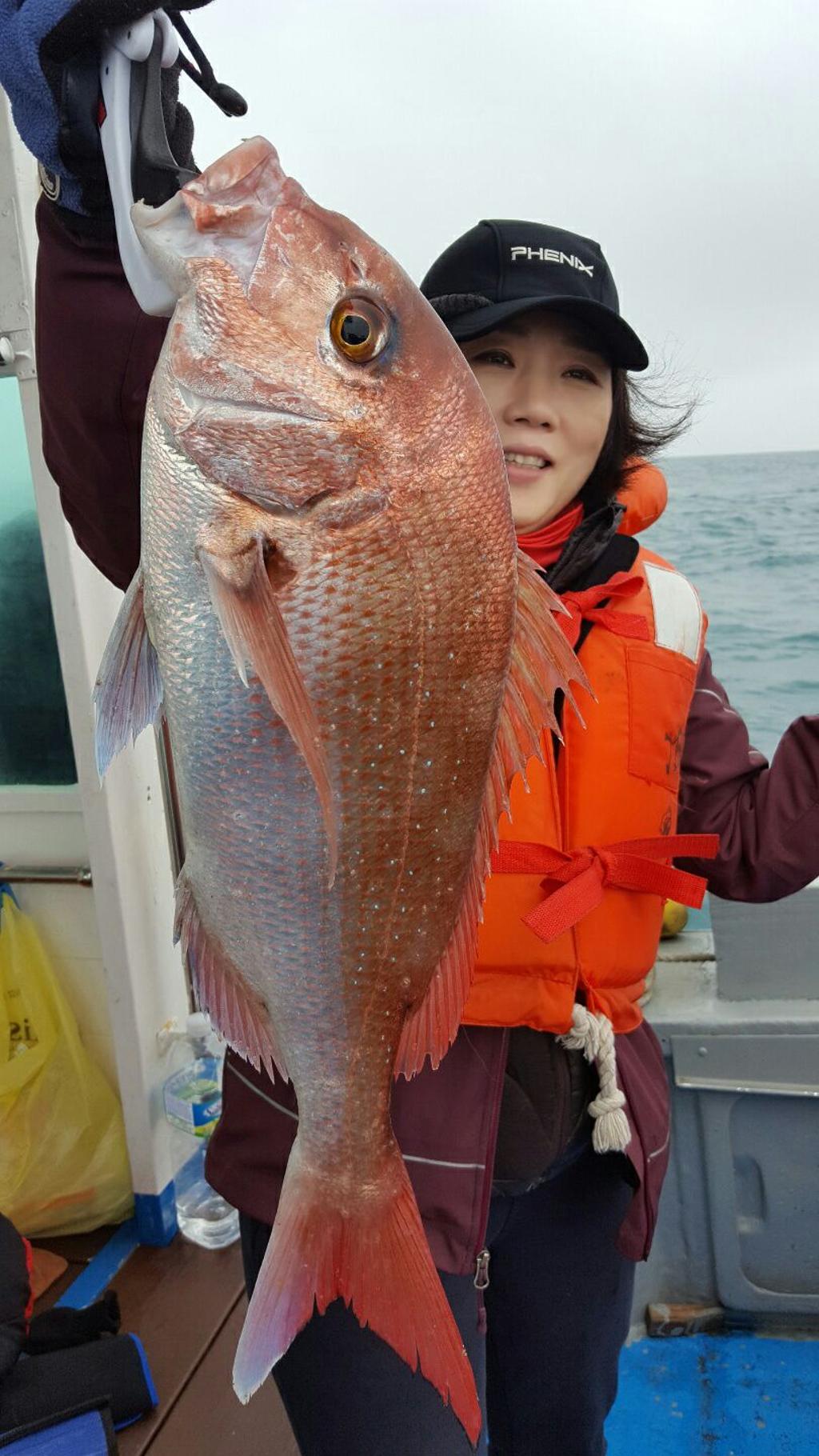 낚시뚜,참돔,모슬포항,모슬포 선진호,낚시뚜2