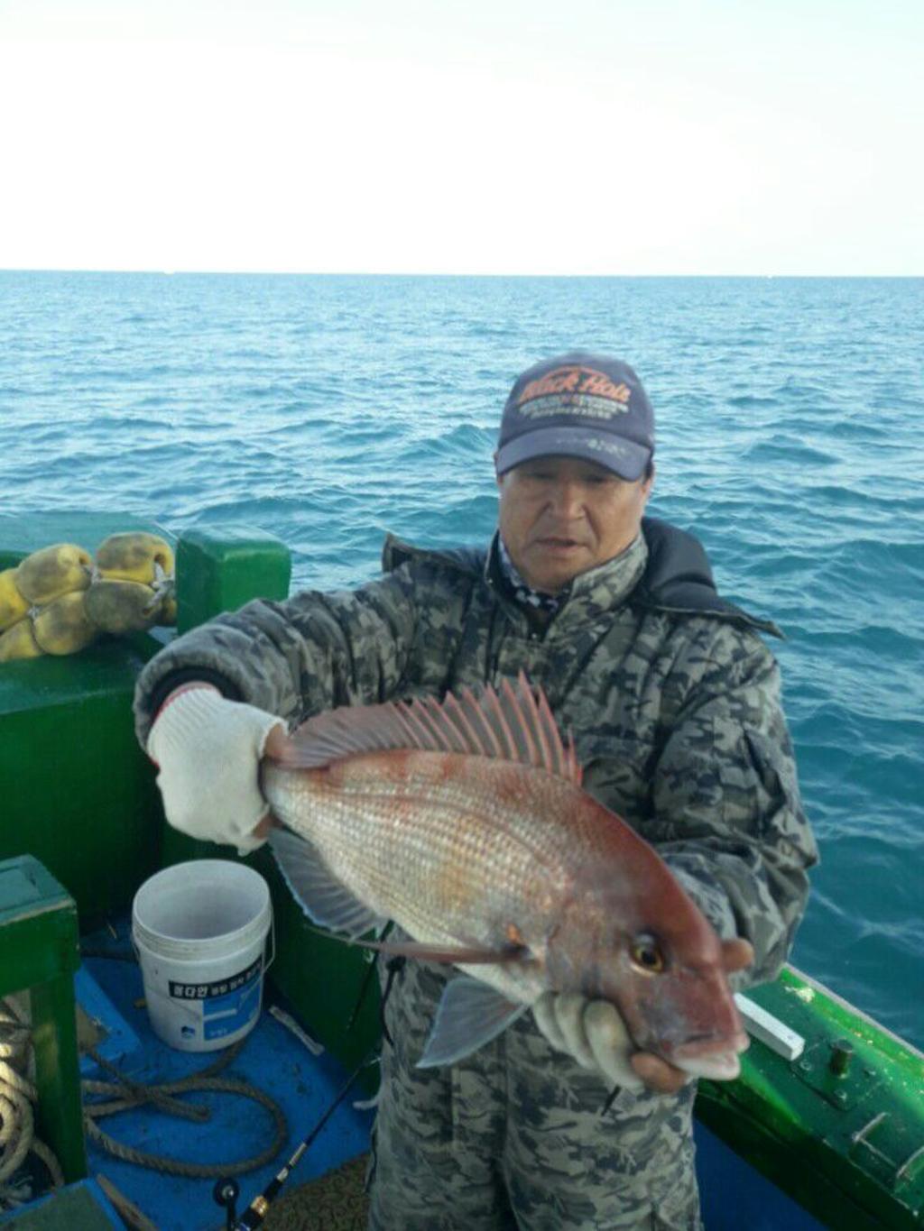 낚시뚜,참돔,모슬포항,희성호,낚시뚜6