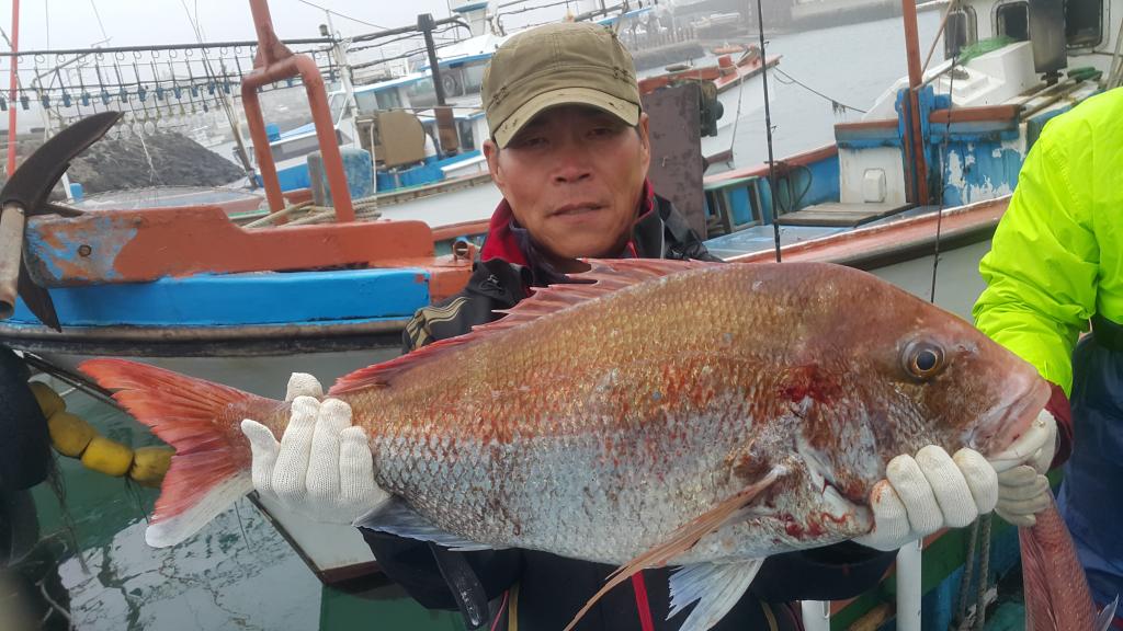 낚시뚜,,제주 신창항,수복호,낚시뚜1