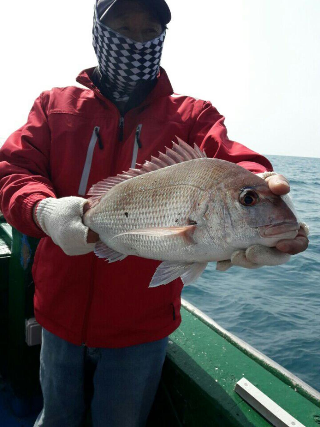 낚시뚜,참돔,모슬포항,희성호,낚시뚜8