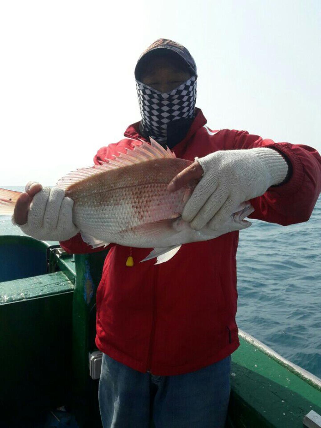 낚시뚜,참돔,모슬포항,희성호,낚시뚜7
