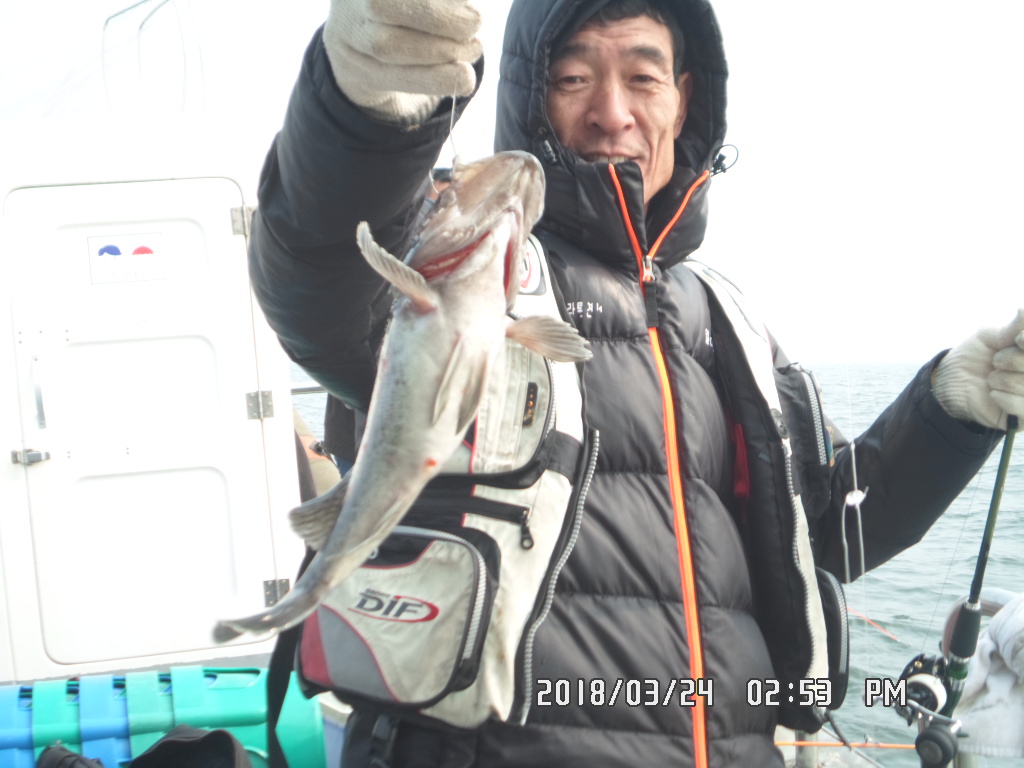 낚시뚜,우럭,오천항,거양호,낚시뚜12