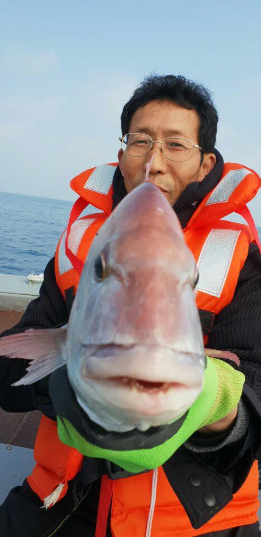 낚시뚜,참돔,모슬포항,모슬포 선진호,낚시뚜5