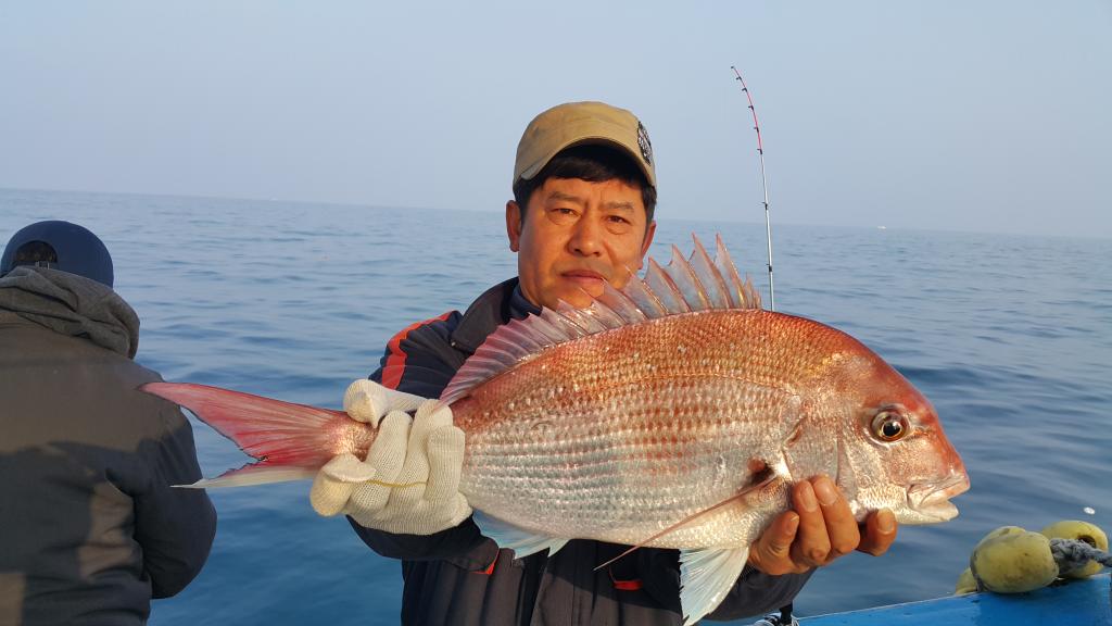 낚시뚜,,제주 신창항,수복호,낚시뚜4