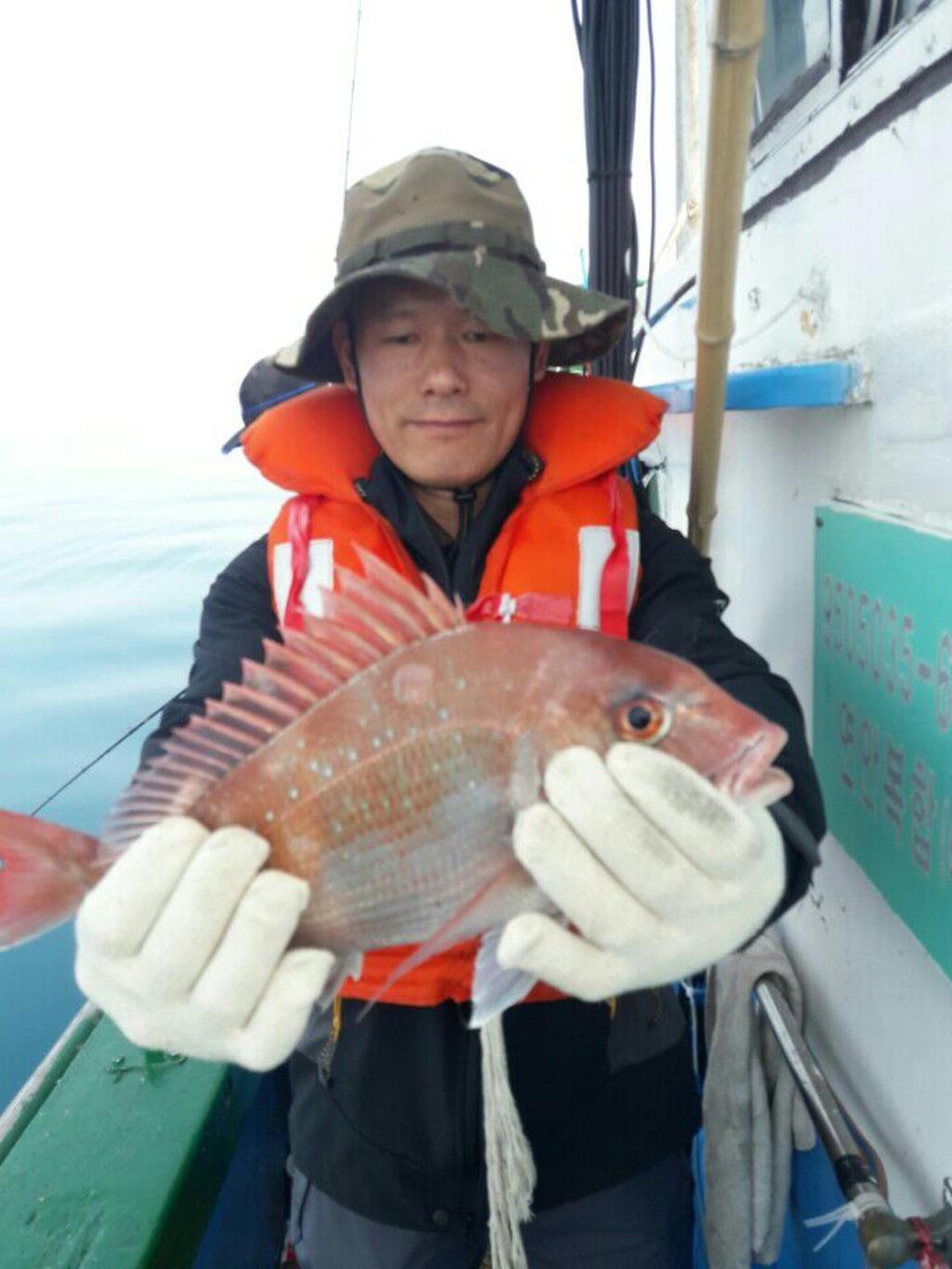 낚시뚜,참돔,쏨뱅이,모슬포항,희성호,낚시뚜5