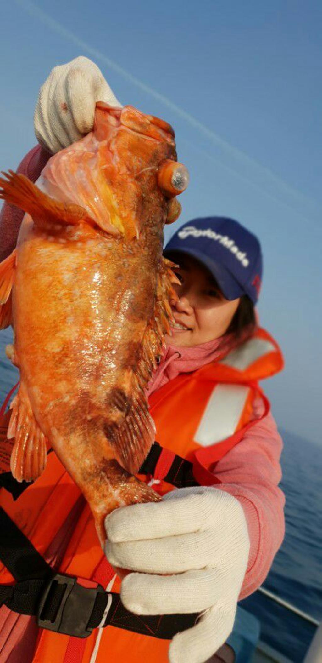 낚시뚜,쏨뱅이,모슬포항,모슬포 선진호,낚시뚜5
