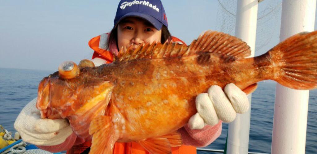 낚시뚜,쏨뱅이,모슬포항,모슬포 선진호,낚시뚜3