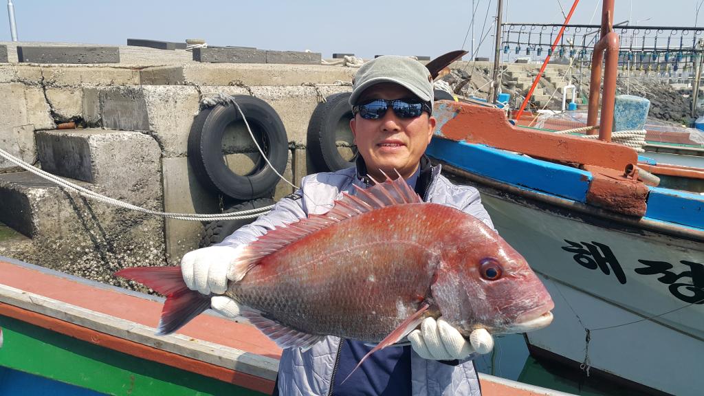 낚시뚜,,제주 신창항,수복호,낚시뚜4
