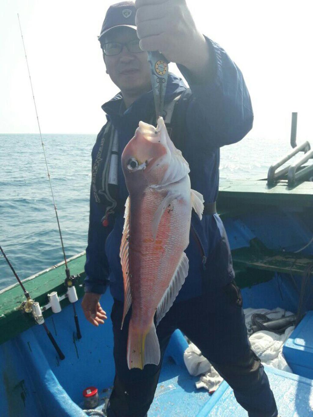 낚시뚜,참돔,모슬포항,희성호,낚시뚜0