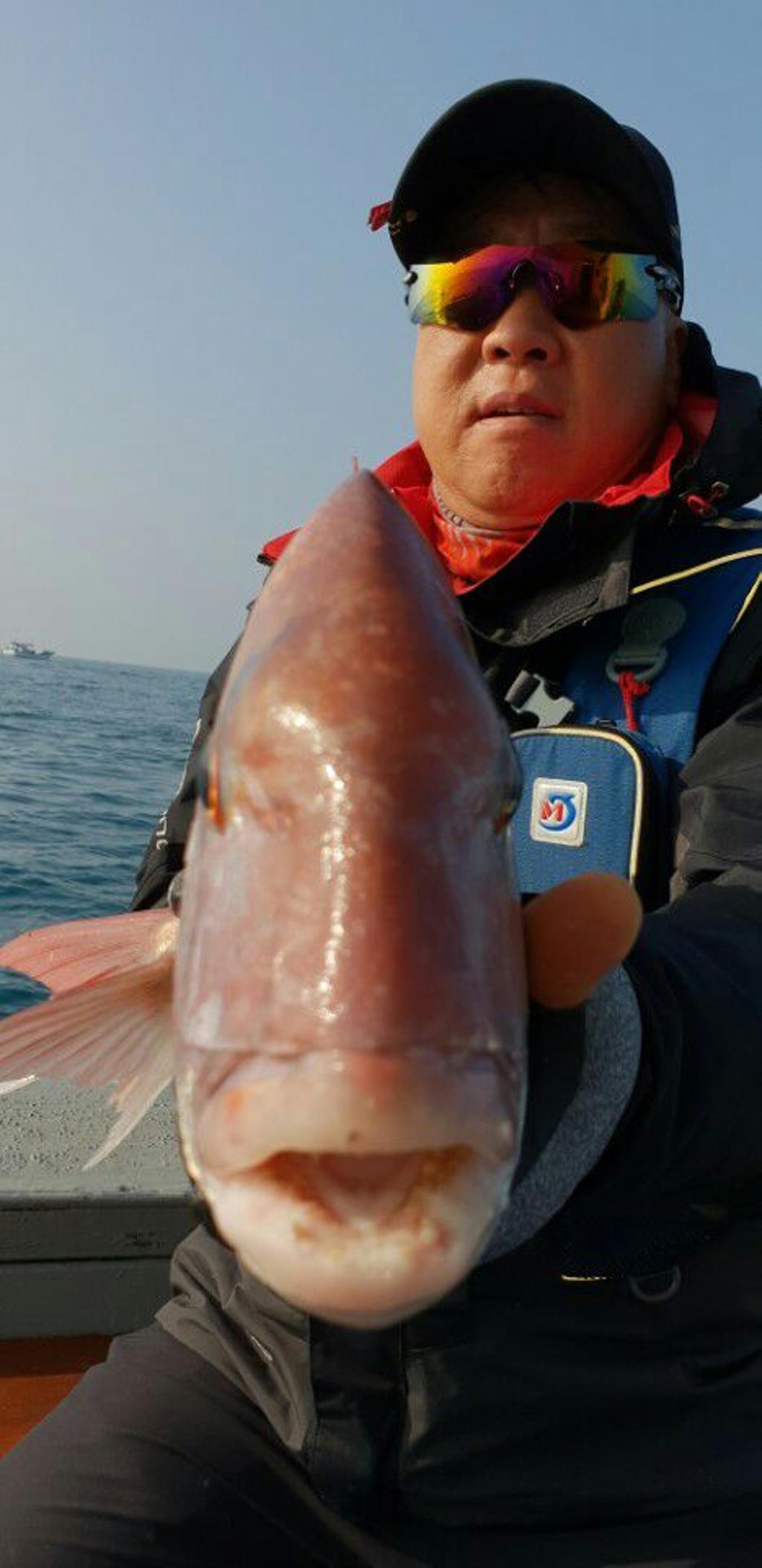 낚시뚜,참돔,모슬포항,모슬포 선진호,낚시뚜3