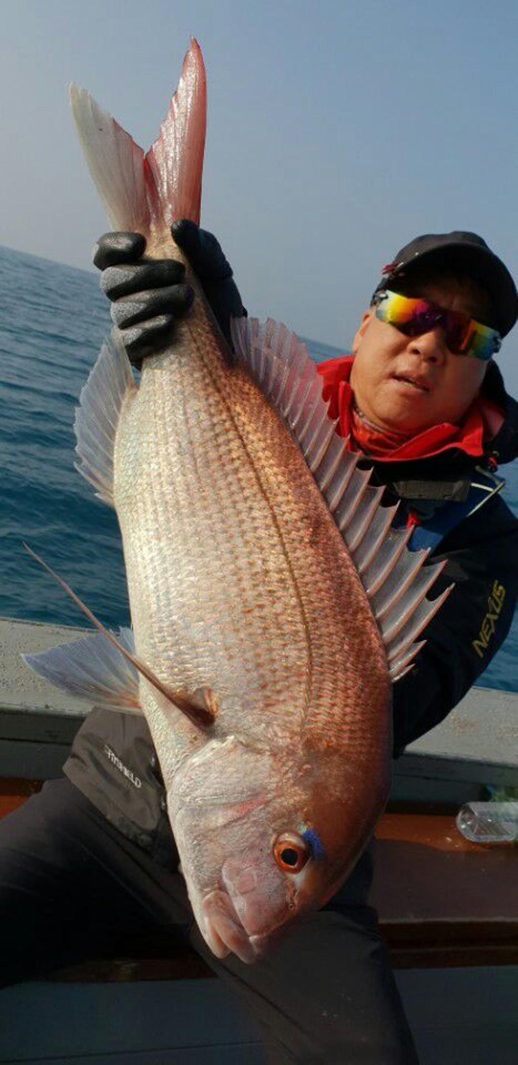 낚시뚜,참돔,모슬포항,모슬포 선진호,낚시뚜2