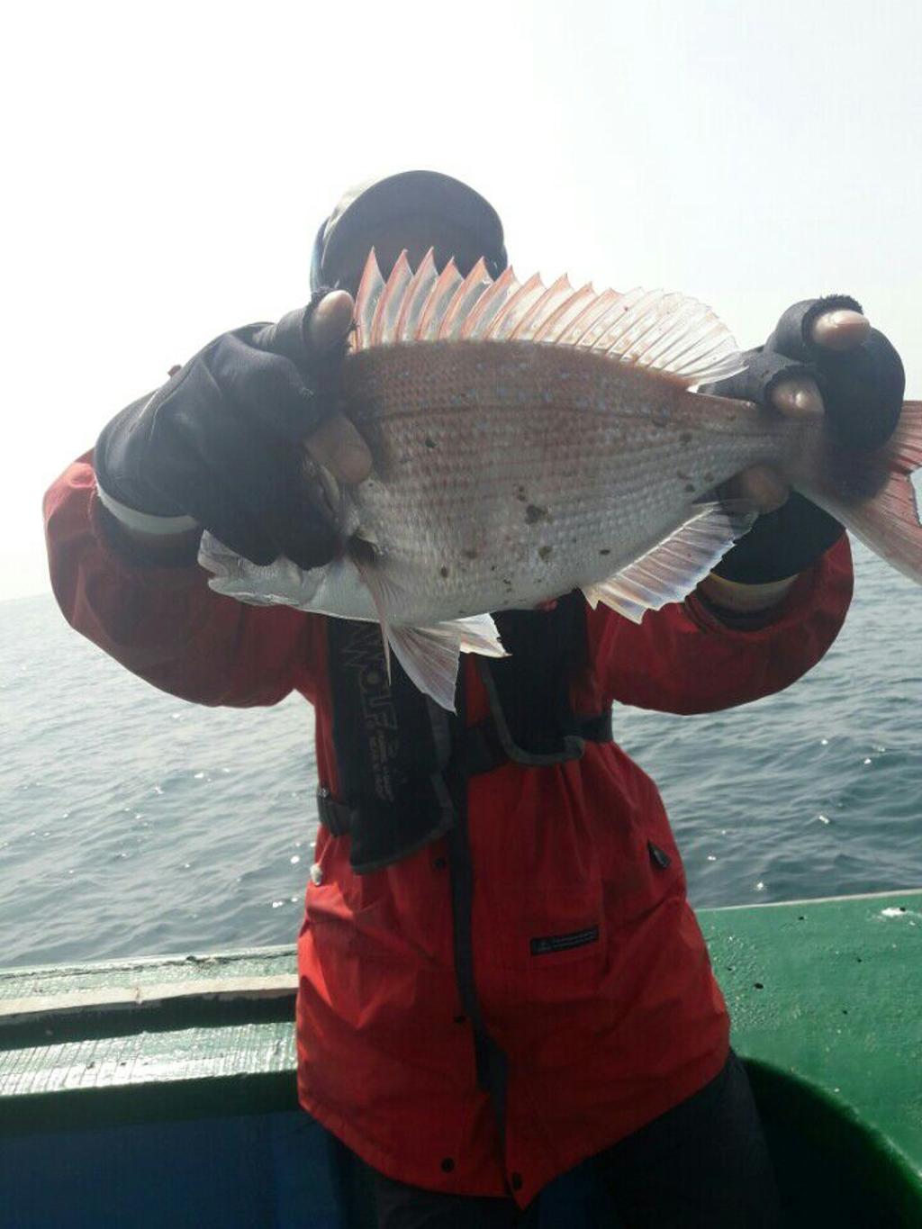 낚시뚜,참돔,모슬포항,희성호,낚시뚜4
