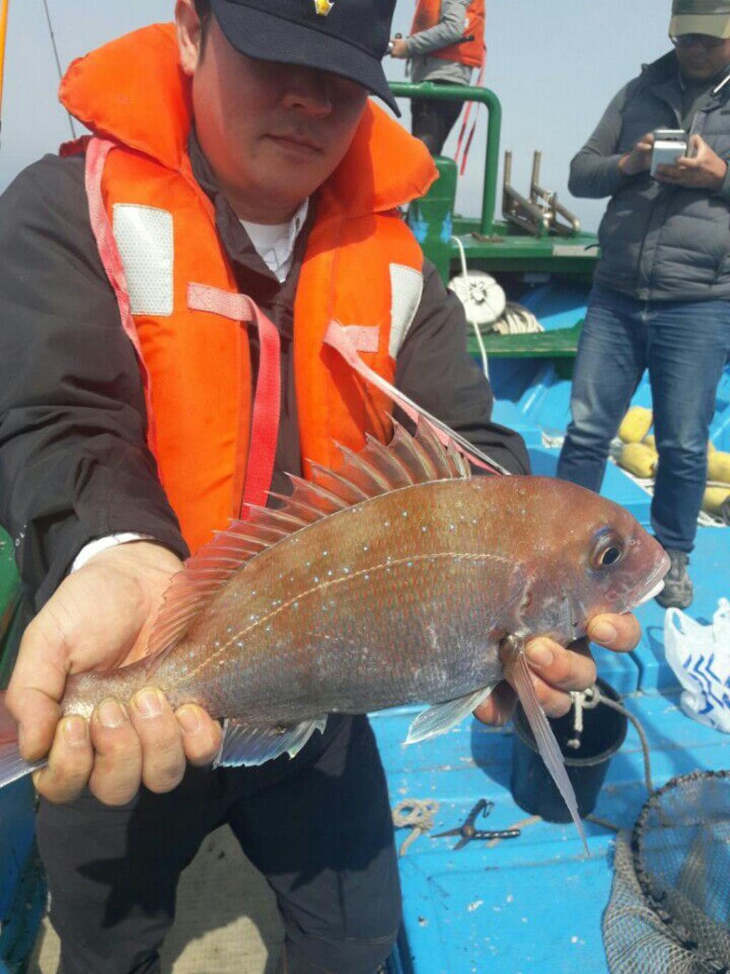낚시뚜,참돔,모슬포항,희성호,낚시뚜3