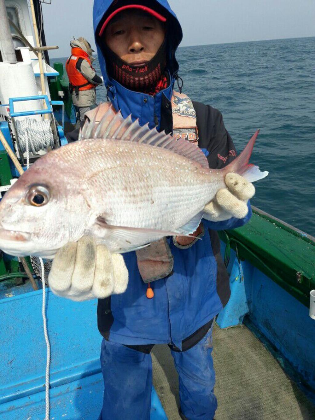 낚시뚜,참돔,모슬포항,희성호,낚시뚜20