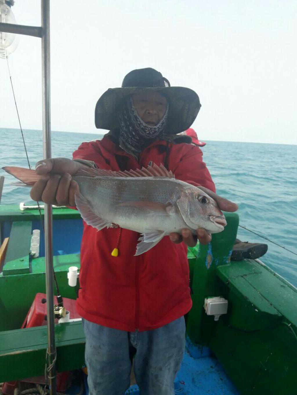 낚시뚜,참돔,모슬포항,희성호,낚시뚜10