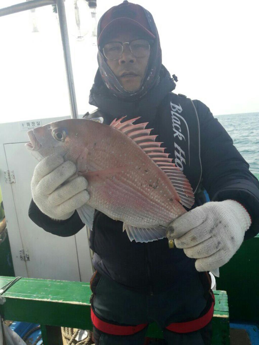 낚시뚜,참돔,모슬포항,희성호,낚시뚜1