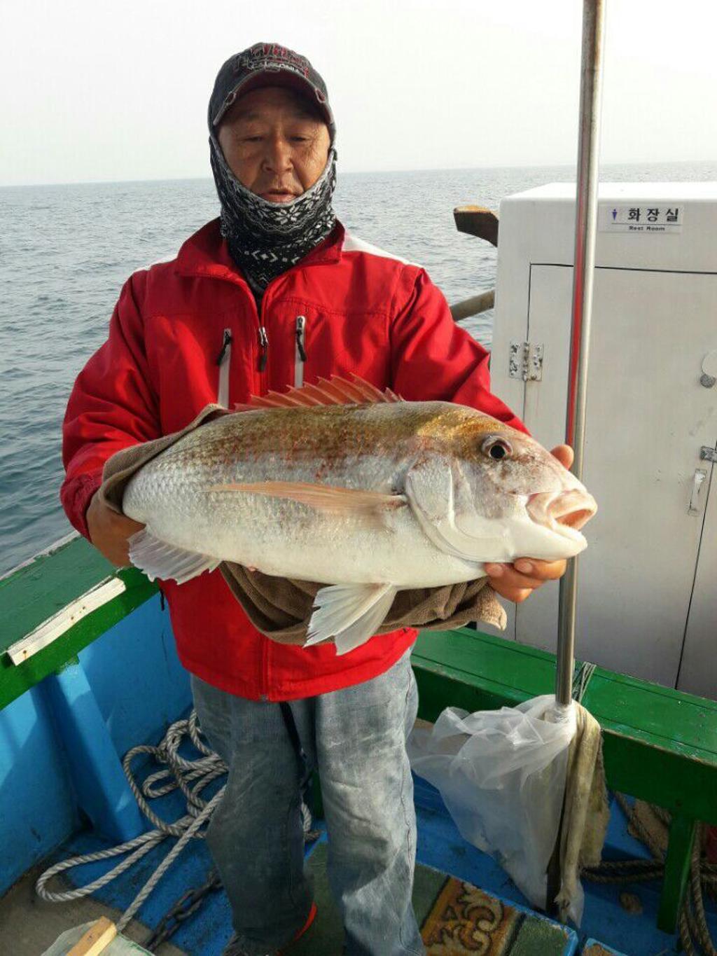 낚시뚜,참돔,모슬포항,희성호,낚시뚜11