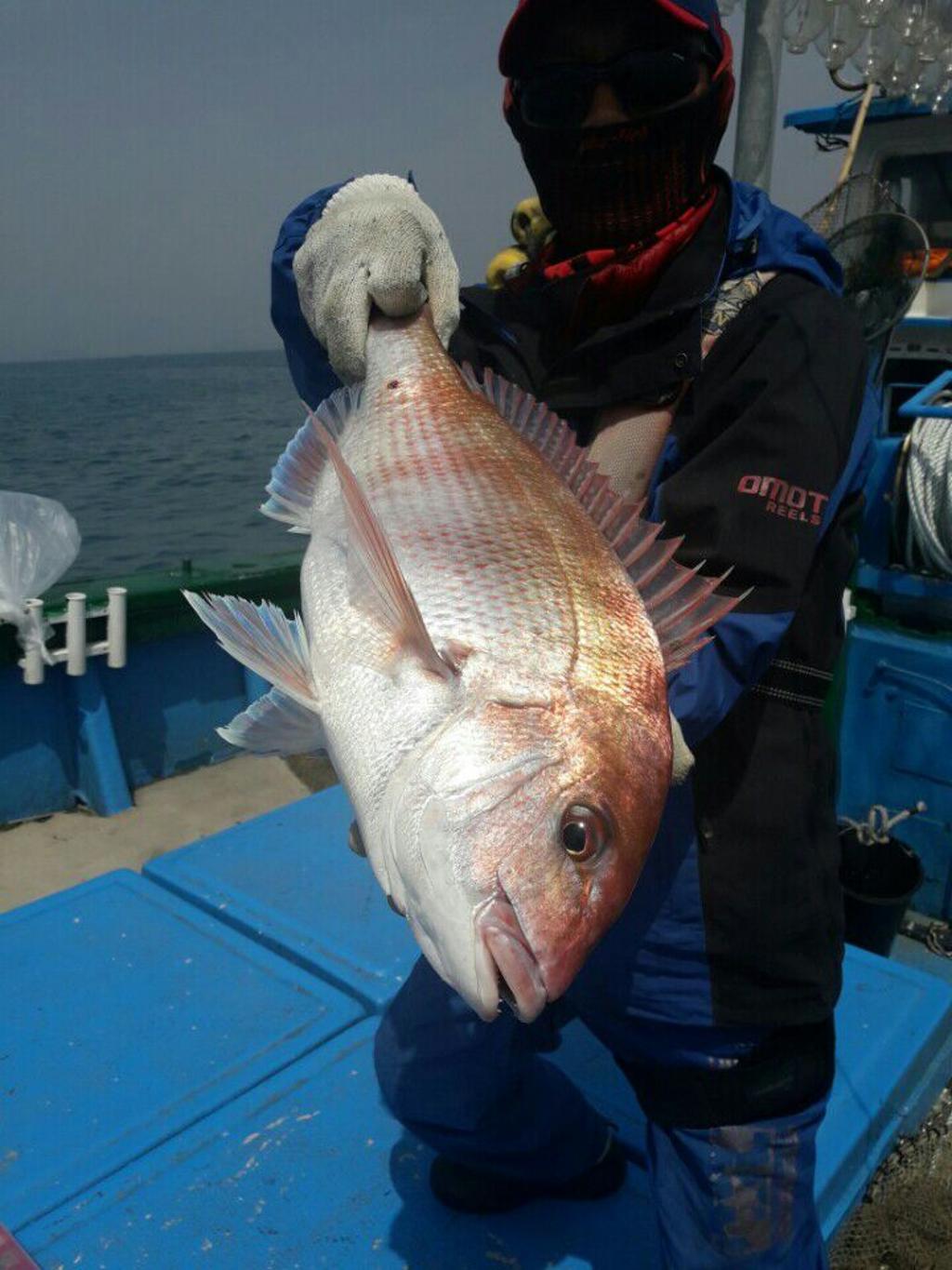 낚시뚜,참돔,모슬포항,희성호,낚시뚜2