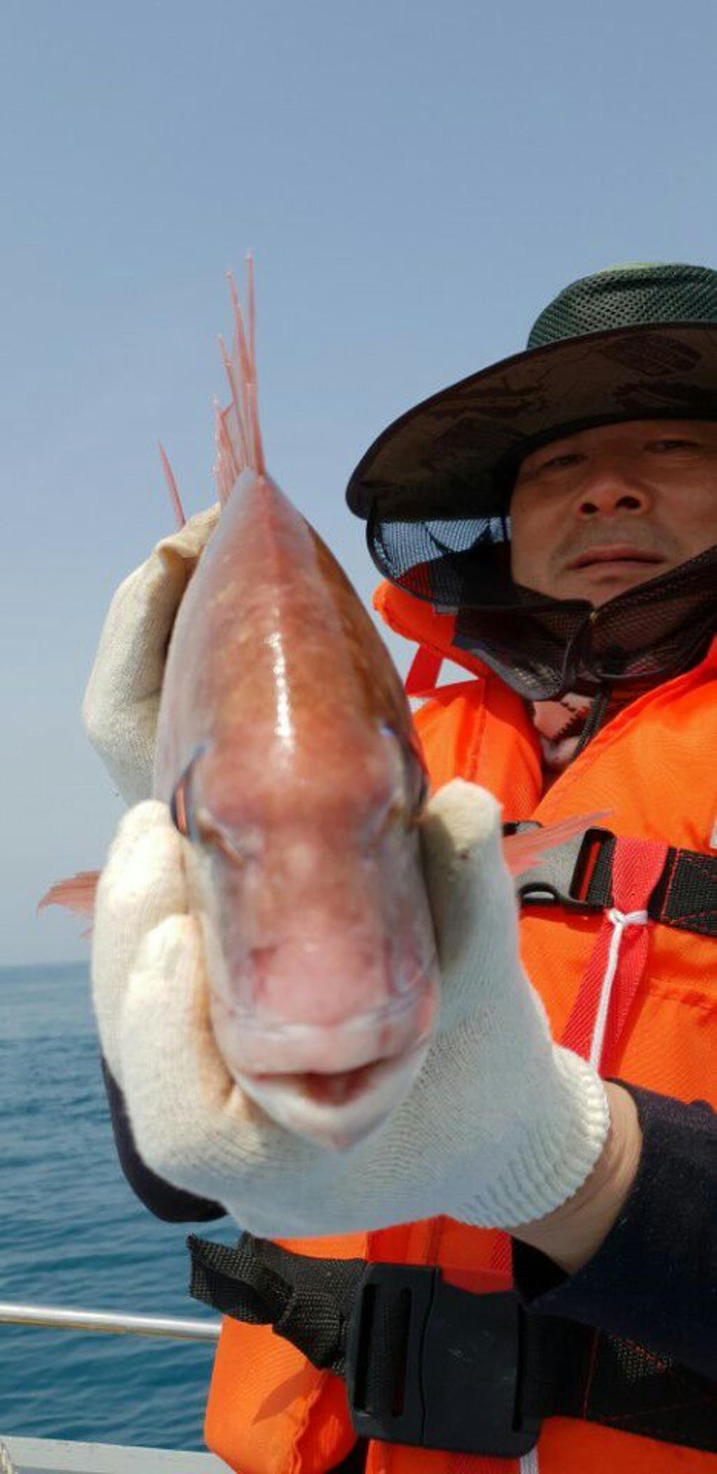 낚시뚜,참돔,모슬포항,모슬포 선진호,낚시뚜9