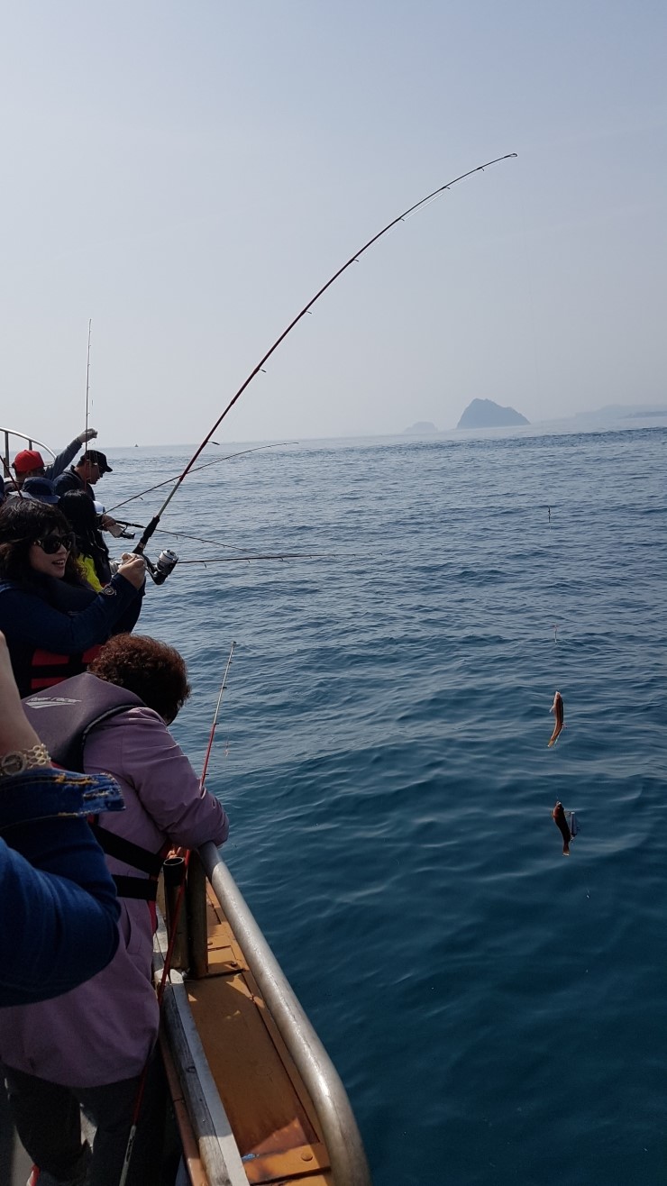 낚시뚜,기타 (직접입력),하효항,제주 청송호,낚시뚜2