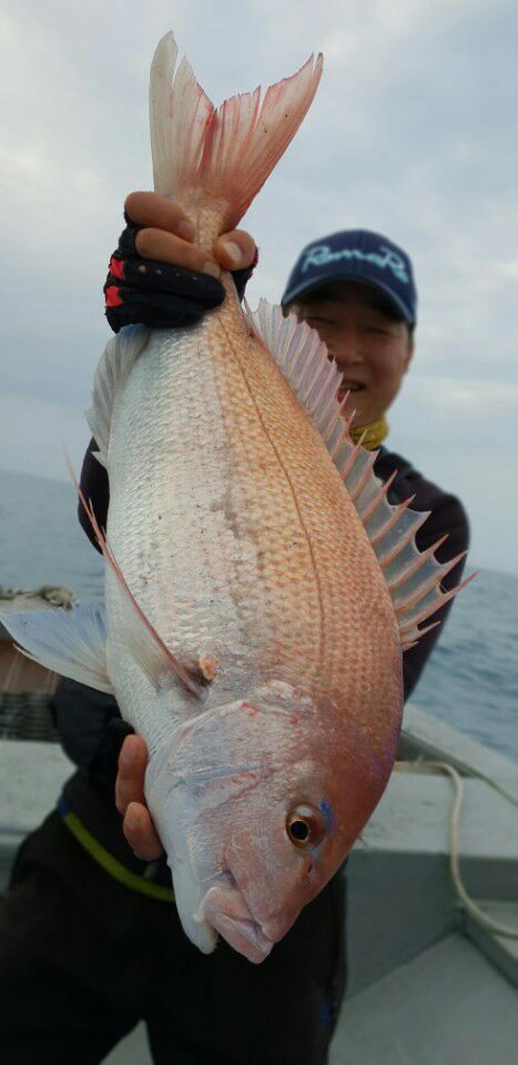 낚시뚜,참돔,모슬포항,모슬포 선진호,낚시뚜11