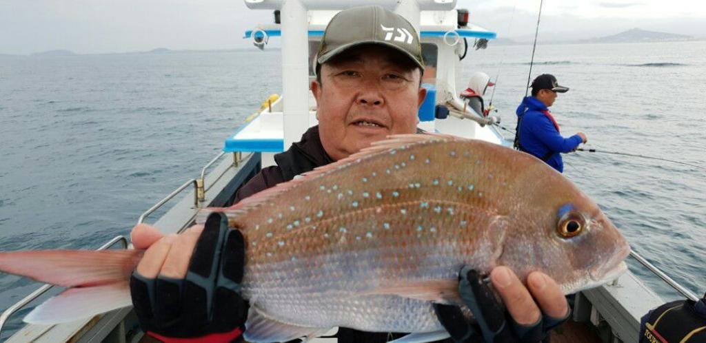 낚시뚜,참돔,모슬포항,모슬포 선진호,낚시뚜6