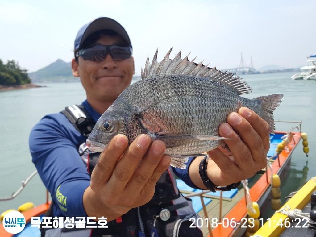 낚시뚜,감성돔,신안압해도선착장,해성골드호,낚시뚜4