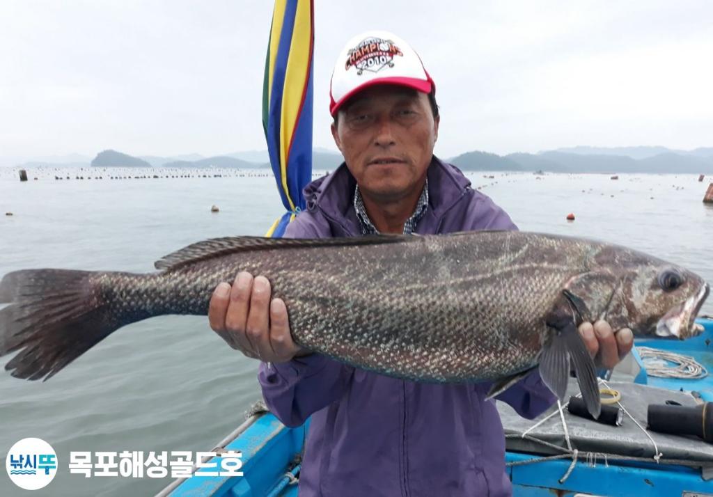 낚시뚜,감성돔,농어,민어,신안압해도선착장,해성골드호,낚시뚜3