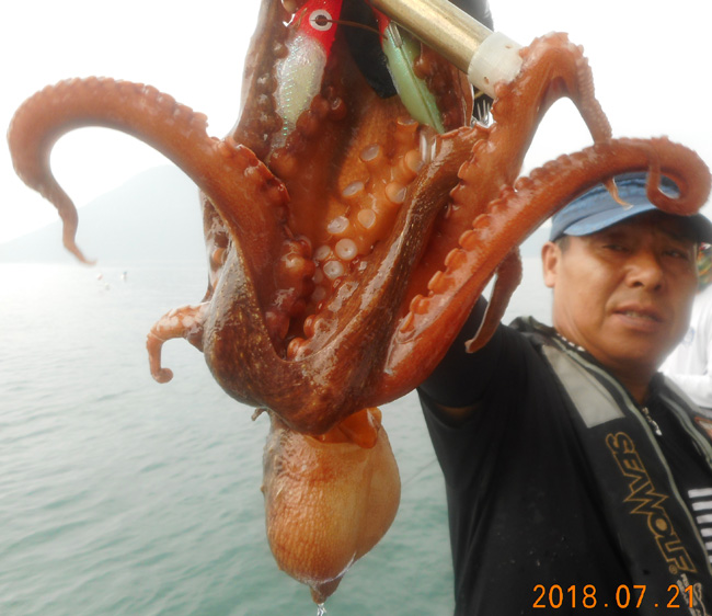 낚시뚜,문어,국동항,여수서울낚시,낚시뚜0