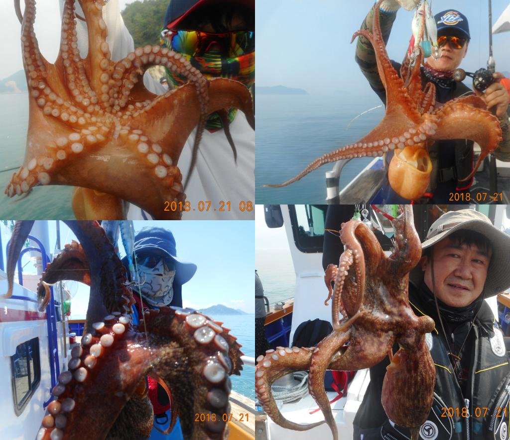 낚시뚜,문어,국동항,여수서울낚시,낚시뚜3