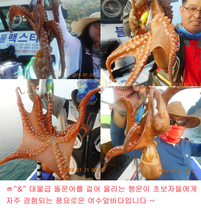 낚시뚜,문어,국동항,여수서울낚시,낚시뚜4