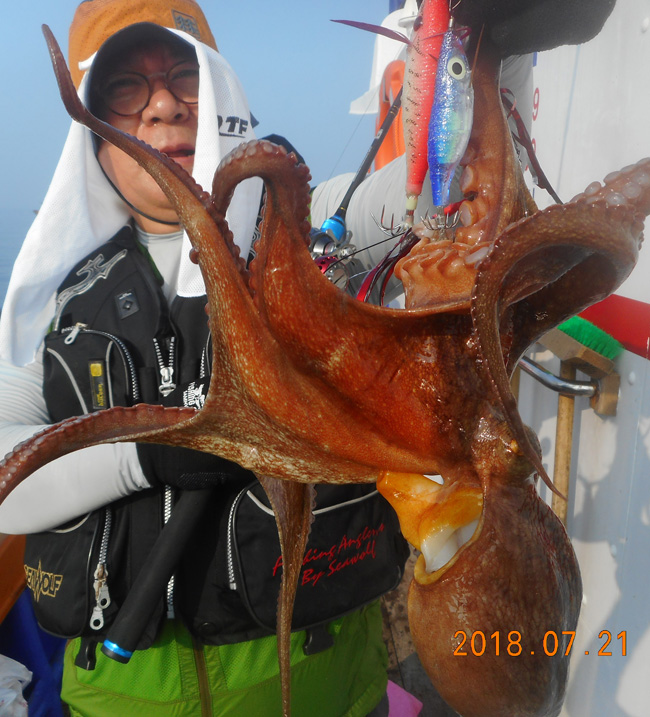 낚시뚜,문어,국동항,여수서울낚시,낚시뚜5