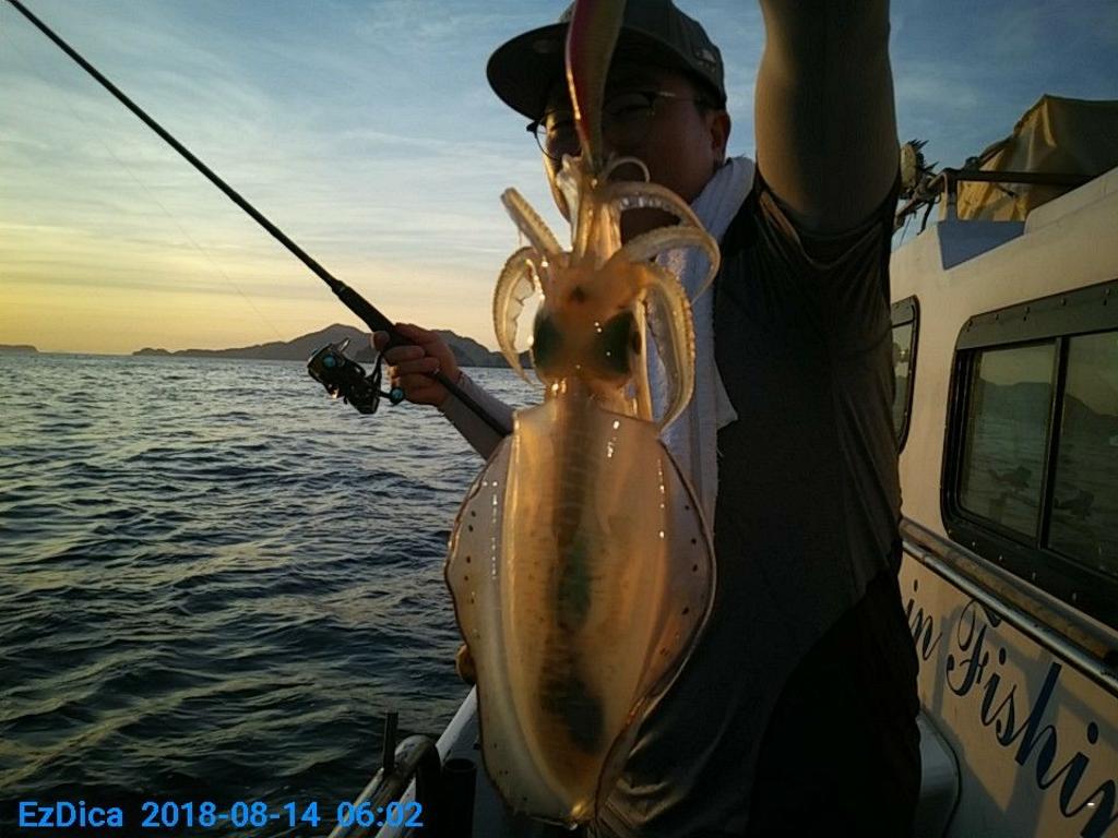 낚시뚜,무늬오징어,통영미수동방파제,통영명인낚시,낚시뚜4