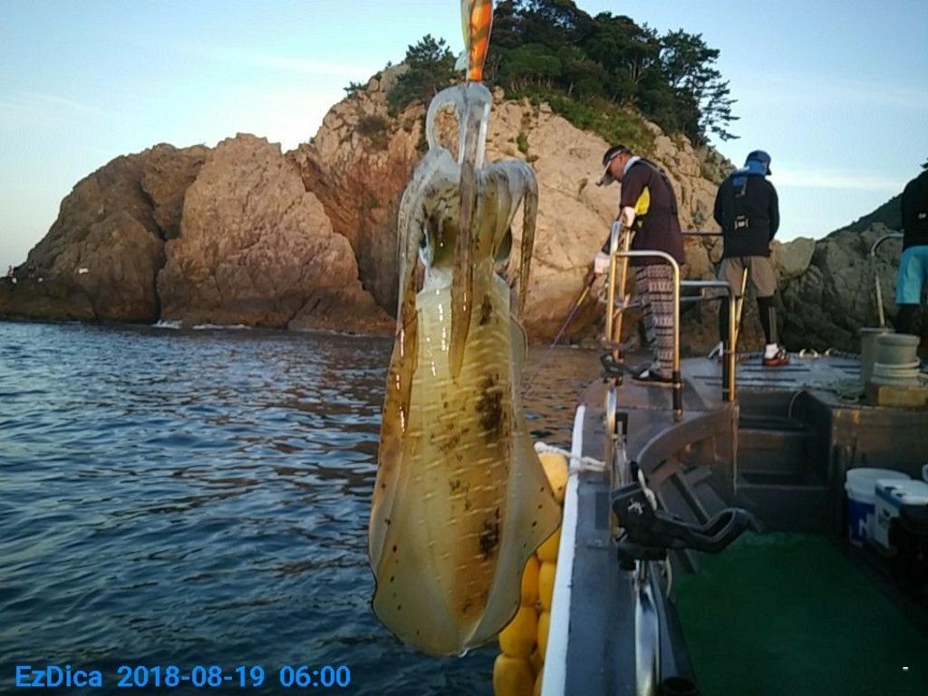 낚시뚜,무늬오징어,통영미수동방파제,통영명인낚시,낚시뚜0